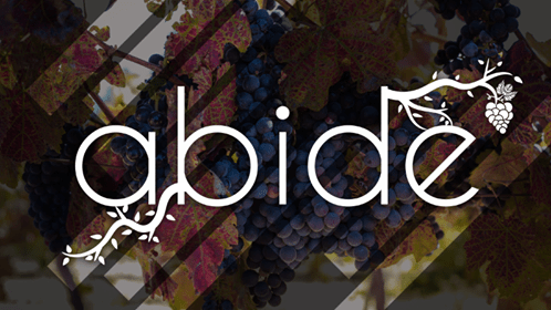 82034485_2736402666395387_7737323707604926464_n